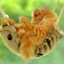 ���� ]{() � � -�]{ @, ������-��-���� - ��������� 8 ���� 2014 � ������ ������ ��������