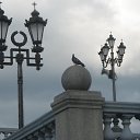 �������� ������� �� ������� �������-�����