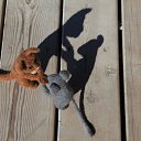 ���� ���������, ������, 55 ��� - ��������� 11 ������� 2014 � ������ ���� �������