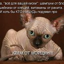 ���� M@ria, �������� - ��������� 9 ������ 2014 � ������ ������ ��������