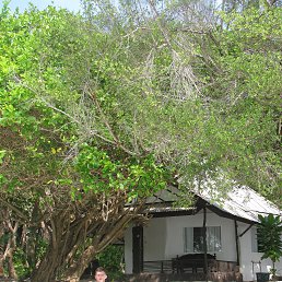 ���� ������, ������, 29 ��� - ��������� 18 ���� 2014