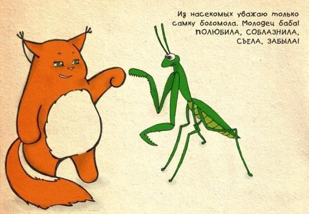 Art & Fun - 16  2014  19:33