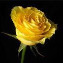 ���� 🌼������🌼, ������, 42 ���� - ��������� 4 ������� 2014 � ������ ���� ����������
