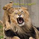 ���� �����****, ������-��-����, 61 ��� - ��������� 8 ������ 2014 � ������ ������ ��������