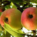 ���� 2014 �� ������� �� ��� - ��������!!!)))�