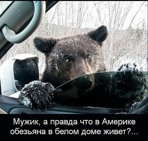 Владимир Мирошников - 29 мая 2014 в 02:01