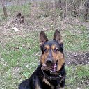 ���� �����, ����������� - ��������� 8 ������� 2014 � ������ ���� ����������