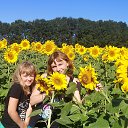 ���� �����, ������, 42 ���� - ��������� 18 ���� 2014 � ������ ������ ��������