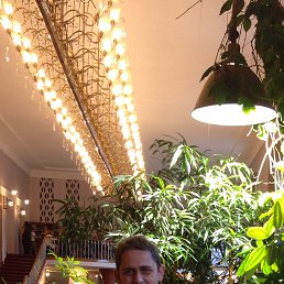 C���, �����, 49 ���