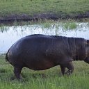 ��������� �������� .������� 2014 �� ������� ���� ����������