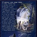 ���� ����, ������ ��������, 64 ���� - ��������� 2 ��� 2014 � ������ ������ ��������