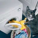 ���� Madam, �����-��������� - ��������� 13 ���� 2014 � ������ ������ ��������