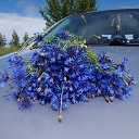 ���� Lyudmila, ��������, 66 ��� - ��������� 14 ���� 2014 � ������ ���� ����������