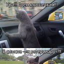 ���� �������, ������, 59 ��� - ��������� 2 ���� 2014 � ������ ������ ��������