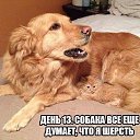 ���� ��@�t��, �����-��������� - ��������� 14 ������ 2014 � ������ ������ ��������