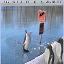 ���� �����, ������, 56 ��� - ��������� 9 ������ 2014 � ������ ������ ��������