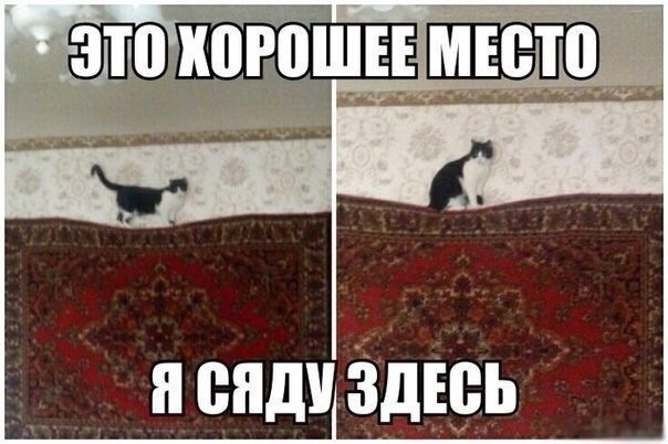 LIFE - ������� - 10 ������� 2014 � 01:55