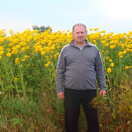 ���� ������, ������������, 63 ���� - ��������� 14 ���� 2014