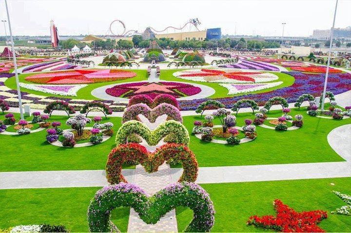 C      - Dubai Miracle Garden