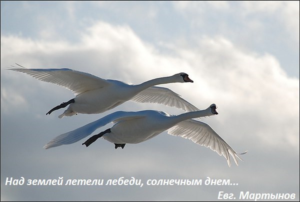 ����� - 8 ���� 2014 � 17:14