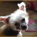 ���� �����, ����, 59 ��� - ��������� 20 ���� 2014 � ������ ������ ��������