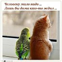 ���� �, �����������, 43 ���� - ��������� 3 ��� 2014 � ������ ������ ��������