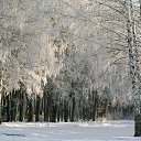 ���� ������, �������, 49 ��� - ��������� 20 ����� 2014 � ������ ���� ����������