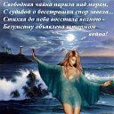 ���� ����, ��������, 46 ��� - ��������� 11 ������ 2014 � ������ ������ ��������