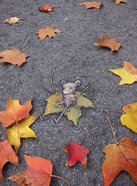    David Zinn - 8