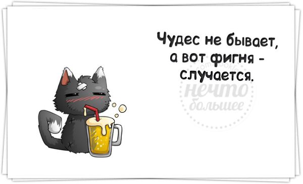   - 12  2014  19:41