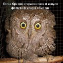 ���� �������, �������, 49 ��� - ��������� 18 ������� 2014 � ������ ���� ����������