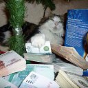 ���� �����, ��������� - ��������� 18 ����� 2014 � ������ �������