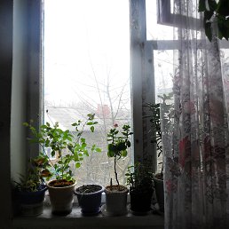 ���� �������, ��������, 52 ���� - ��������� 20 ������ 2014