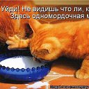 ���� ������, ��������� - ��������� 23 ���� 2014 � ������ ������ ��������