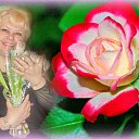 ���� ��������, ������� - ��������� 13 ���� 2014 � ������ ���� ����������