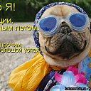 ���� ������, �������, 59 ��� - ��������� 9 ���� 2014 � ������ ���� ����������