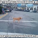���� ��������, ������, 46 ��� - ��������� 31 ����� 2014 � ������ ������ ��������