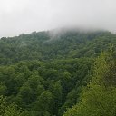  Artur Badeyan, , 64  -  4  2014    