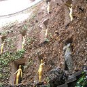 �����. ���� ����� �.���� �� ������� ��������-2014. ��������