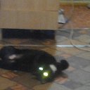 ��� �������!!! �� ������� ���� ����������