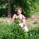 ���� ��������, ��������, 54 ���� - ��������� 4 ���� 2014