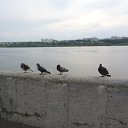 ���� �����, ������� - ��������� 17 ������� 2014 � ������ �14.08.2014�.�