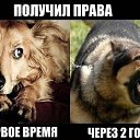 ���� ������, �����������, 42 ���� - ��������� 14 ������� 2014 � ������ ������ ��������