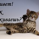 ���� ����������, �����-��������� - ��������� 12 ��� 2014 � ������ ����������,������