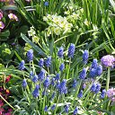 ���� ����������, ����������� - ��������� 24 ������ 2014 � ������ ������ 2014 ��Ļ