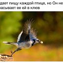 ���� ���������, ������ - ��������� 18 ������� 2014 � ������ ���� ����������
