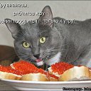 ���� Madam, �����-��������� - ��������� 14 ���� 2014 � ������ ������ ��������