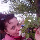 ...�����... �� ������� ���� ����������