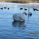 ������� ������������� ����� �� ������� �����������