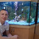 ���� ����, ������ ��������, 35 ��� - ��������� 10 ���� 2014 � ������ ���� ����������